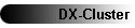 DX-Cluster